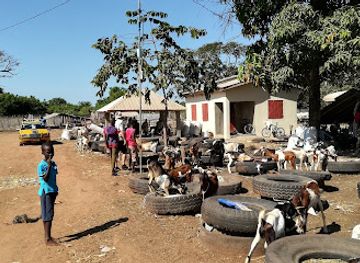 the-gambia/kantora/attraction/brikama-craft-market