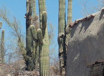 arizona/organ-pipe-cactus-national-monument/attraction/dos-lomitas-ranch