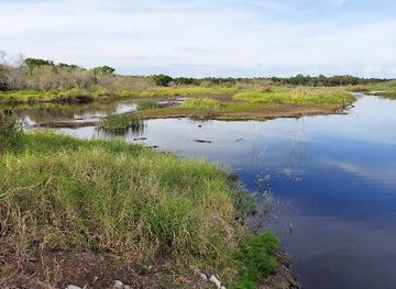 florida/sarasota/attraction/myakka-river-state-park