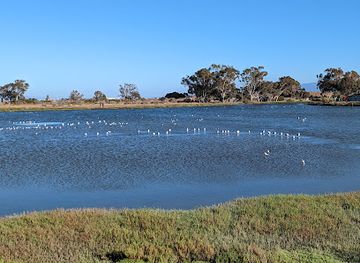 california/redwood-city/attraction/byxbee-park