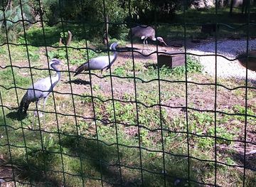 czechia/plzen/attraction/asijska-zahrada