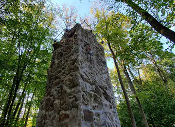 Snagov Forest