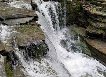 new-york/watkins-glen/attraction/sugar-hill-state-forest