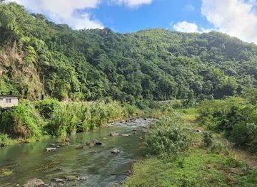 jamaica/portmore/attraction/blue-mountains