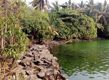 india/kovalam/attraction/edayar-island