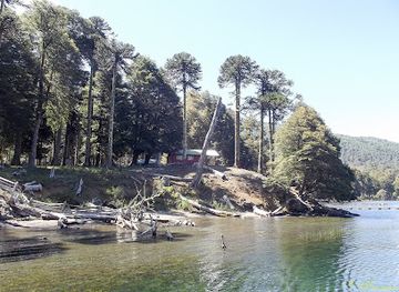 chile/los-rios-region/attraction/nueva-costanera