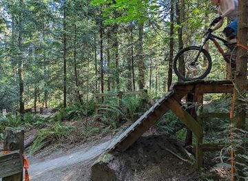washington/kirkland/attraction/duthie-hill-mountain-bike-park