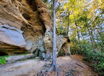 kentucky/natural-bridge-state-resort-park/attraction/angel-windows-trailhead-red-river-gorge