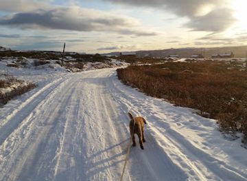 norway/geilo/attraction/vesleeane