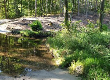 poland/drawa-national-park/attraction/przeprawa-brodem-na-strumieniu-z-jeziora-wierzchniego-w-poblizu-ujscia-do-drawy