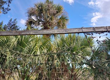 florida/treasure-coast/attraction/paleo-hammock-preserve