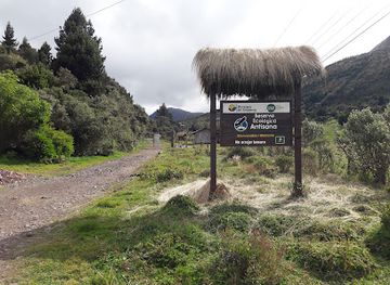 ecuador/papallacta-hot-springs/attraction/rutal-del-condor