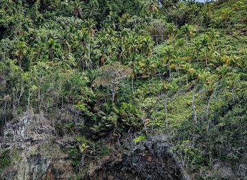 dominican-republic/las-terrenas/attraction/playa-jackson