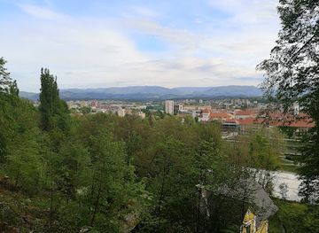 slovenia/celje/attraction/city-forest-celje