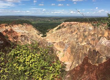 madagascar/boeny/attraction/ankarafantsika-national-park