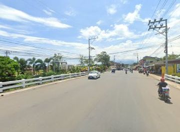 philippines/davao/attraction/nalum-bridge