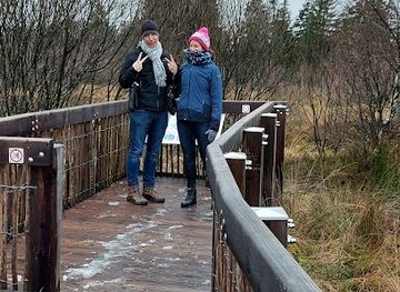 belgium/hautes-fagnes/attraction/vennhochflache-bei-mutzenich