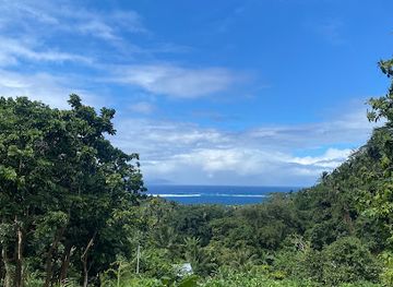 french-polynesia/tahiti-iti/attraction/afareaitu-waterfall
