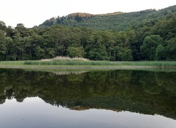 hungary/northern-hungary/attraction/szalajka-volgyi-vadaspark