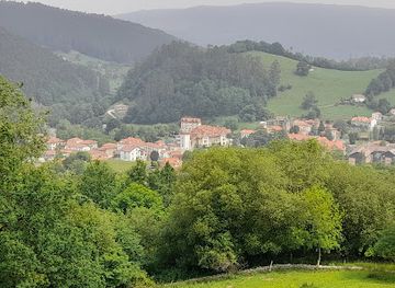 spain/cantabria/attraction/cave-of-el-castillo