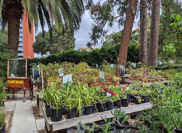 california/san-mateo/attraction/fairy-garden