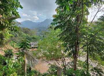 indonesia/bukit-lawang/attraction/lubuk-samsah-sungai-landak-bohorok