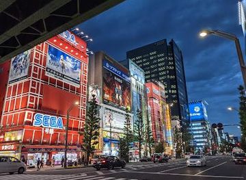 japan/tokyo/attraction/gigo-akihabara-1