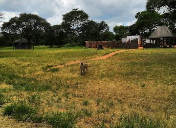 zambia/kafue-national-park/attraction/tateyoyo-gate-kafue-national-park
