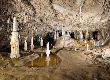 czechia/north-moravia/attraction/sloupsko-sosuvske-jeskyne