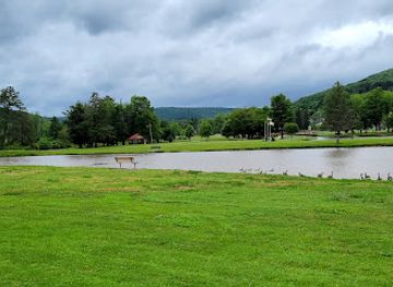 pennsylvania/allegheny-national-forest/attraction/hamlin-lake-park