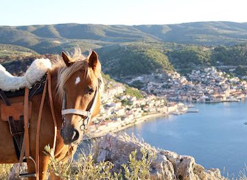 croatia/brac-island/attraction/horse-riding-brac