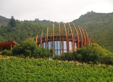 chile/colchagua-valley/attraction/clos-apalta-winery