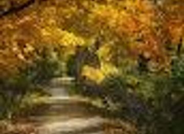 michigan/frankenmuth/attraction/tobico-marsh-frank-n-andersen-nature-trail