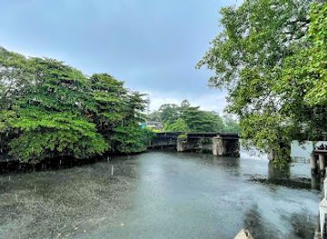 sri-lanka/colombo/attraction/beira-lake-pelican-nest