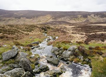 ireland/county-wicklow/attraction/p-s-i-love-you-bridge