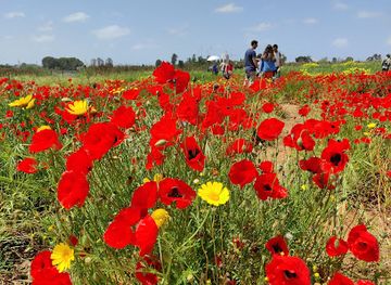 israel/hod-hasharon/attraction/sde-peragim-avivi