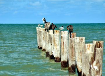 florida/fort-myers/attraction/ancient-pier-fort-myers-beach
