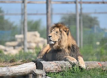 united-kingdom/lincolnshire/attraction/wolds-wildlife-park