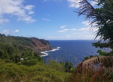 dominica/soufriere/attraction/l-escalier-tete-chien