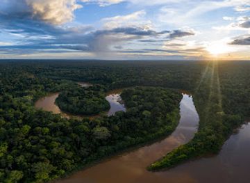 peru/tambopata-national-reserve/attraction/secret-forest-regenwaldschutzgebiet