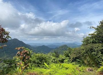 saint-lucia/laborie/attraction/edmund-forest-trail