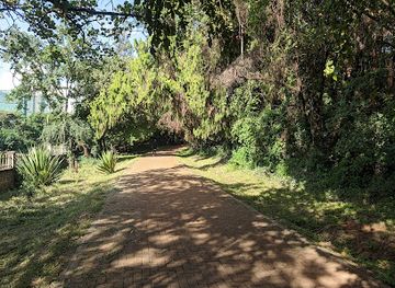 kenya/mount-kenya-region/attraction/the-nairobi-arboretum