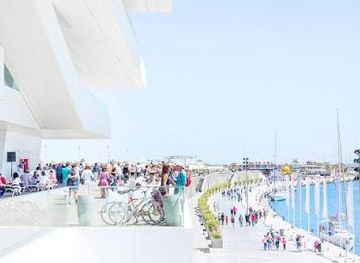 spain/valencia/attraction/la-marina-de-valencia