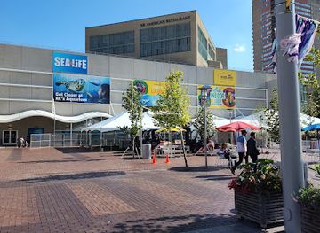 kansas/kansas-city/crossroads-arts-district/attraction/sea-life-kansas-city