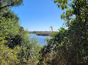 zambia/sioma-ngwezi-national-park/attraction/mashi-conservancy