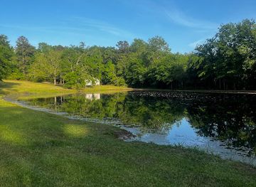 alabama/conecuh-national-forest/attraction/kirkpatrick-park