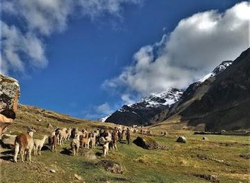 peru/cusco/attraction/green-peru-adventures