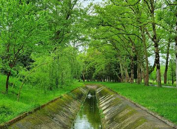 georgia/imereti/attraction/tskaltubo-central-park