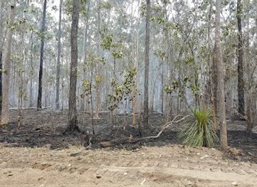 australia/northern-rivers/attraction/fortis-creek-national-park