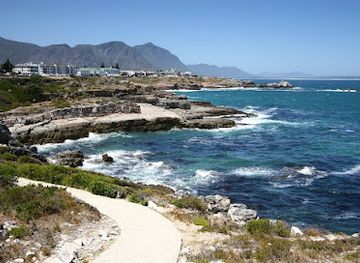 south-africa/overberg/attraction/hermanus-new-harbour